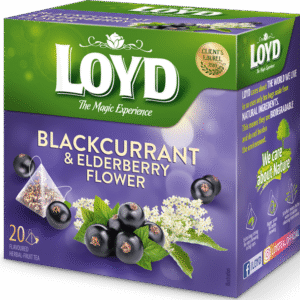 Loyd Tea Blackcurrant & Elderberry Flower (2g x 20 Pyramids)